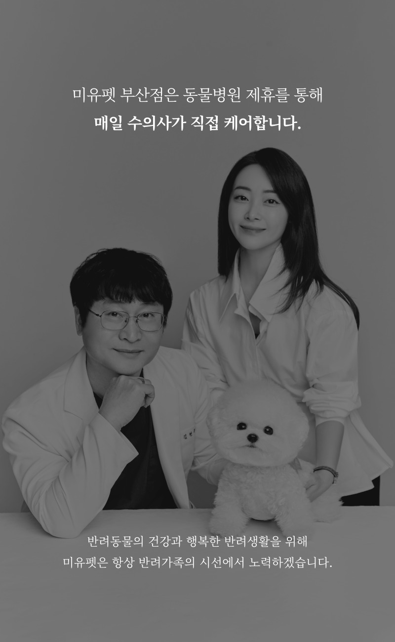 샴_상세이미지_1