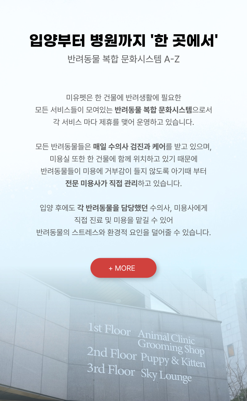 브리티쉬숏헤어_상세이미지_4