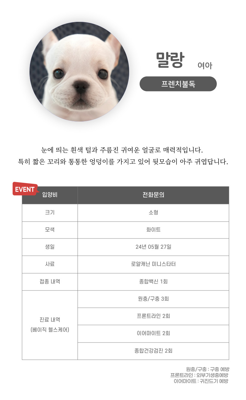 프불_상세이미지_3