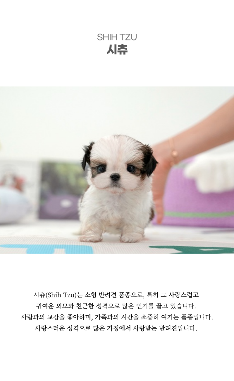 페니_상세이미지_2