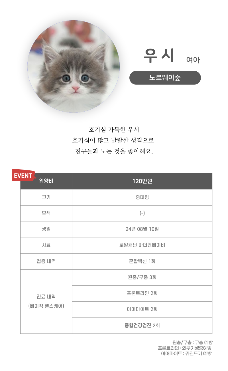 노르웨이숲_상세이미지_3