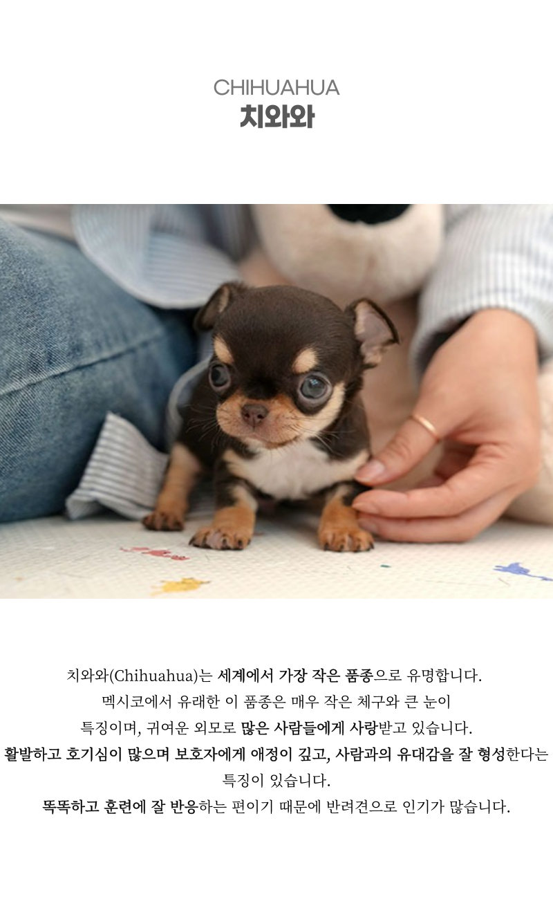 짜뭉_상세이미지_2