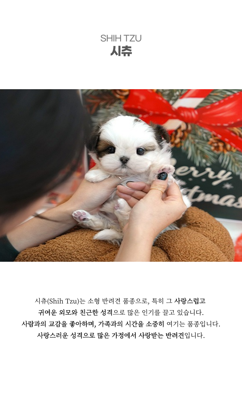 우타_상세이미지_2