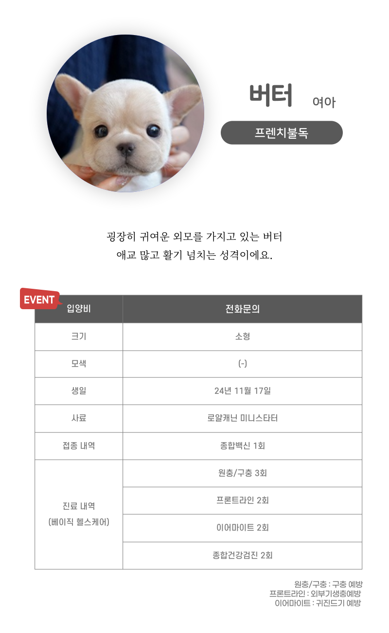 버터_상세이미지_3