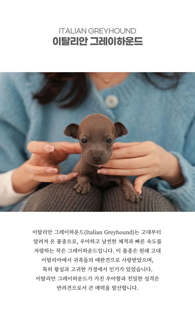 로아_상세이미지_2