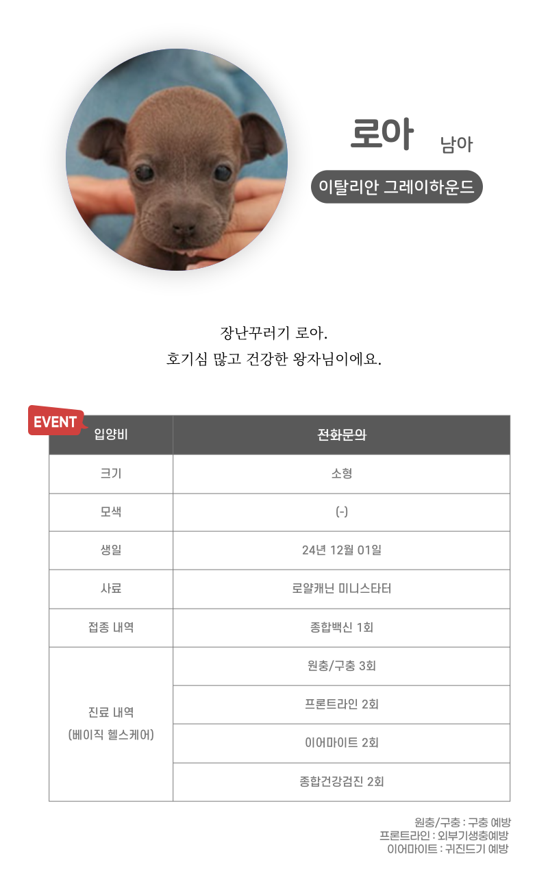 로아_상세이미지_3