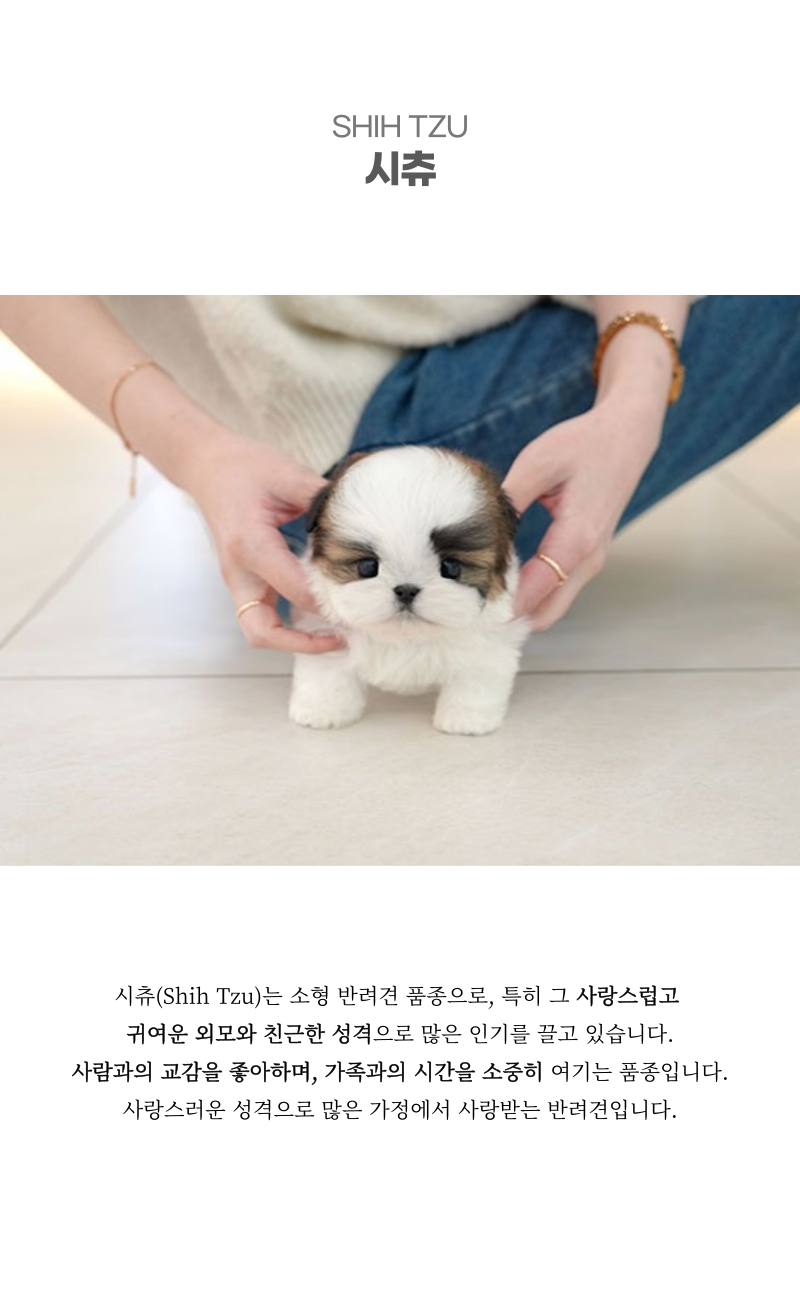 유진_상세이미지_2