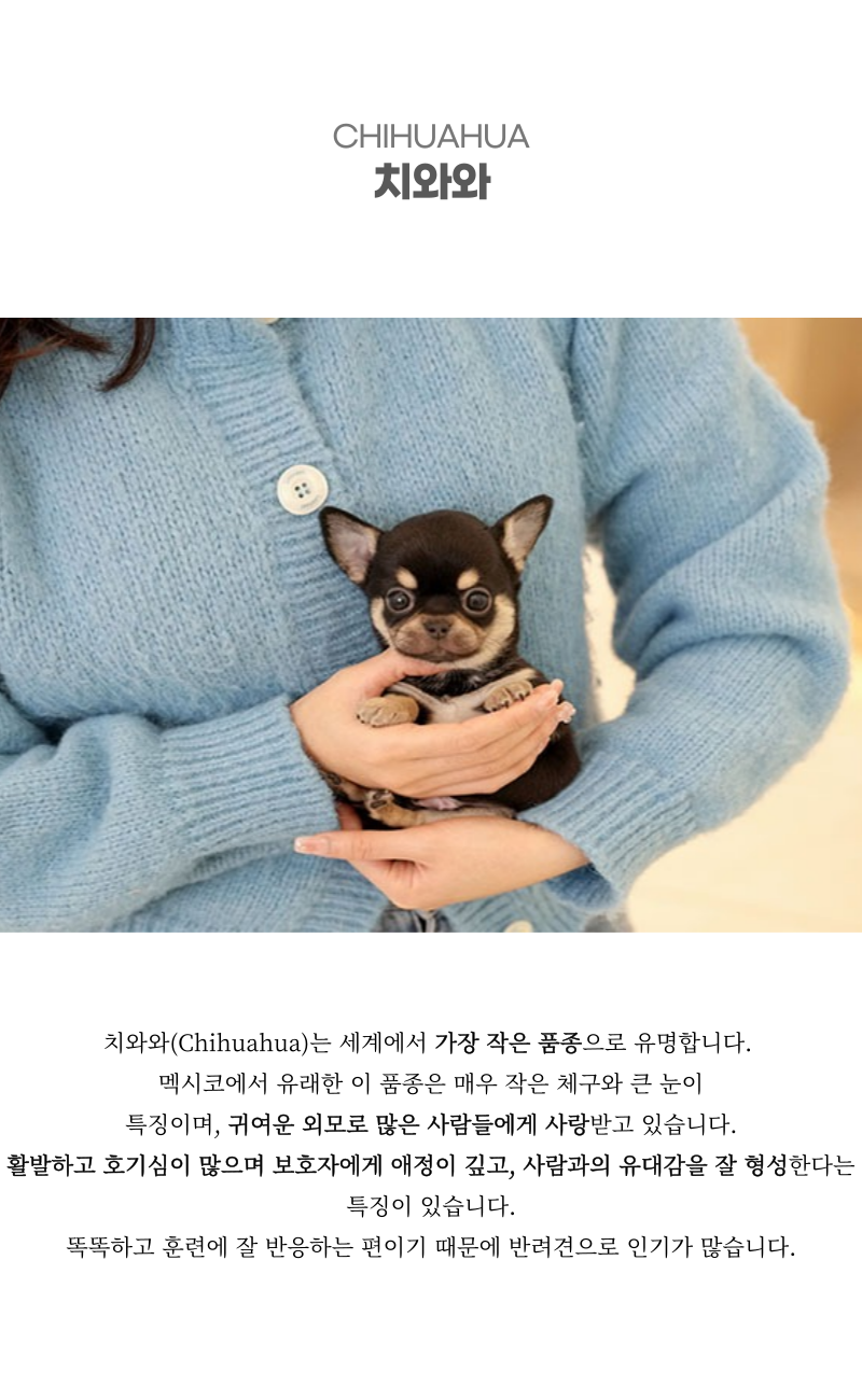 초초_상세이미지_2