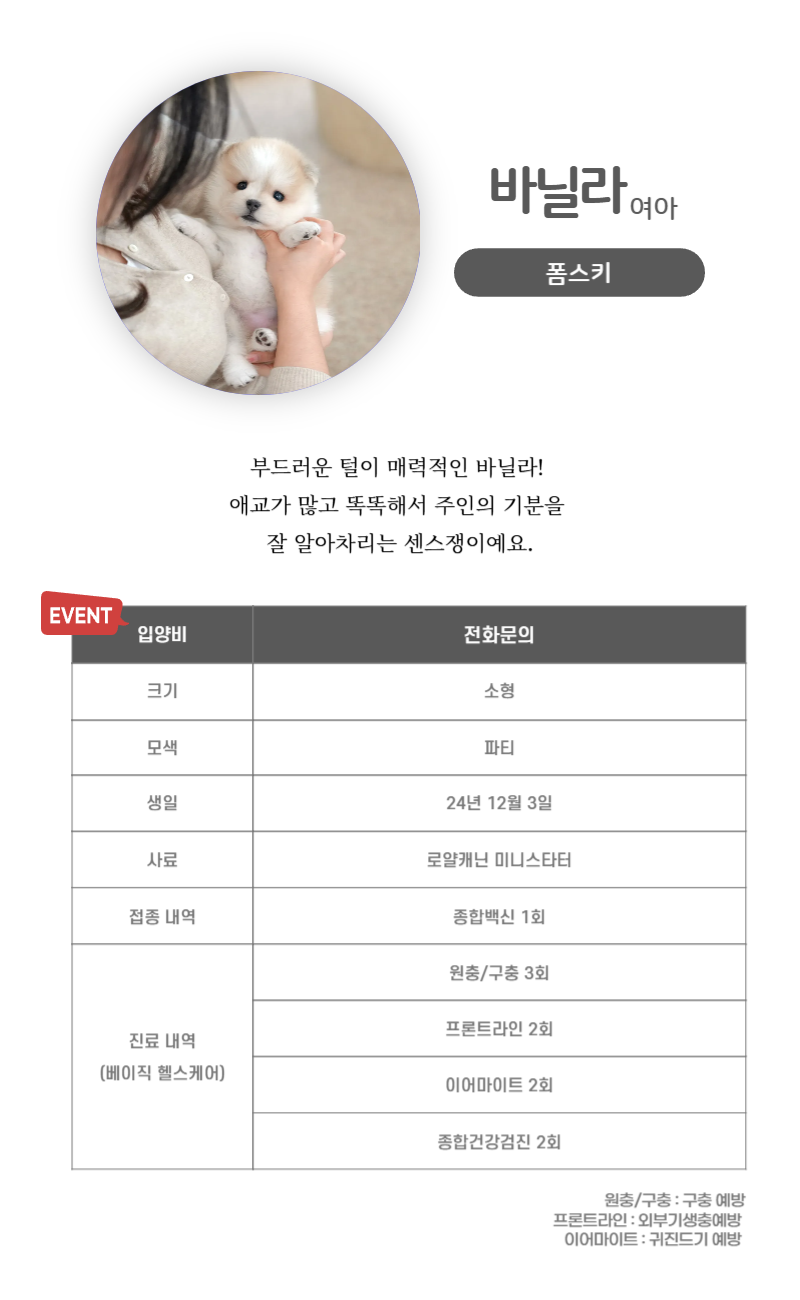 바닐라_상세이미지_3