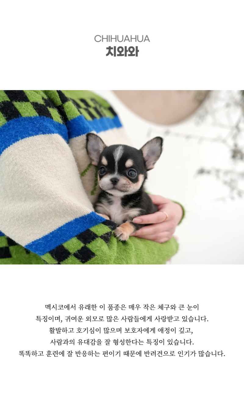 마루 _상세이미지_2