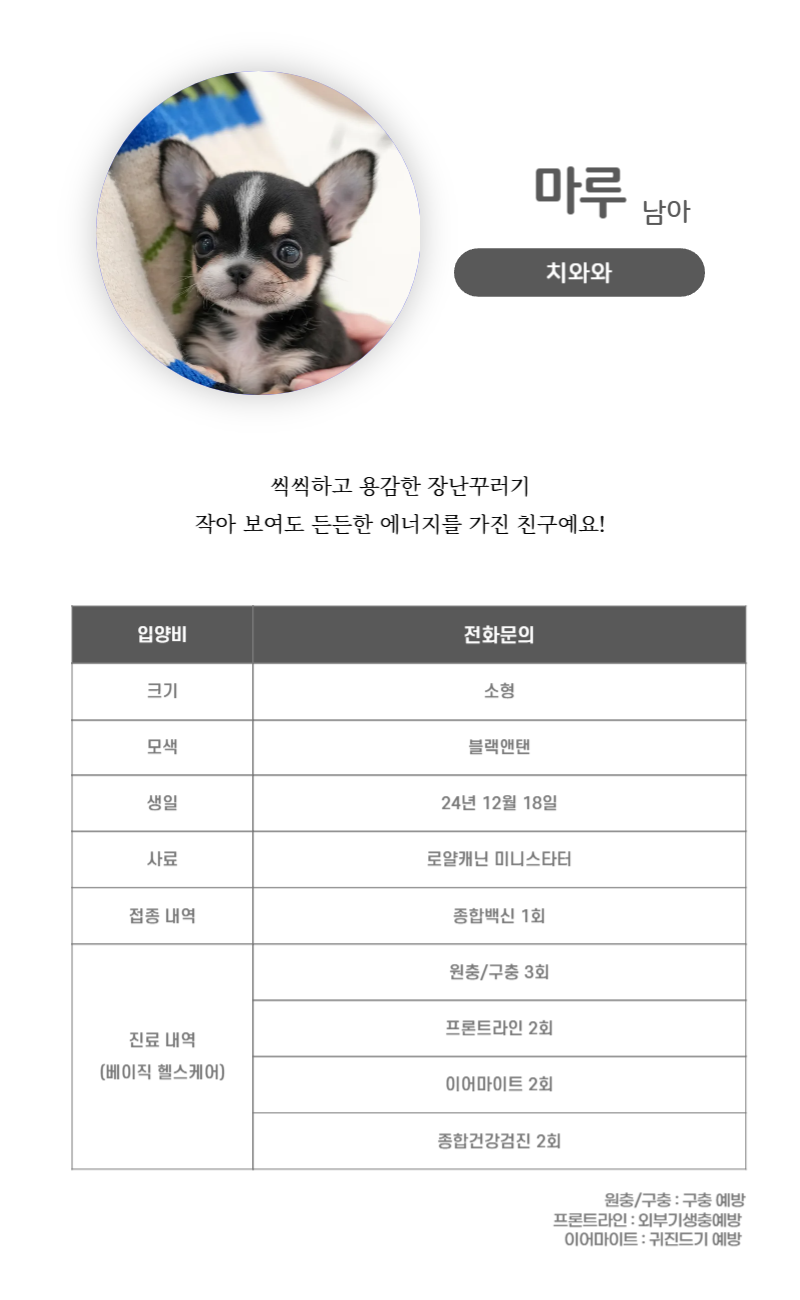 마루 _상세이미지_3