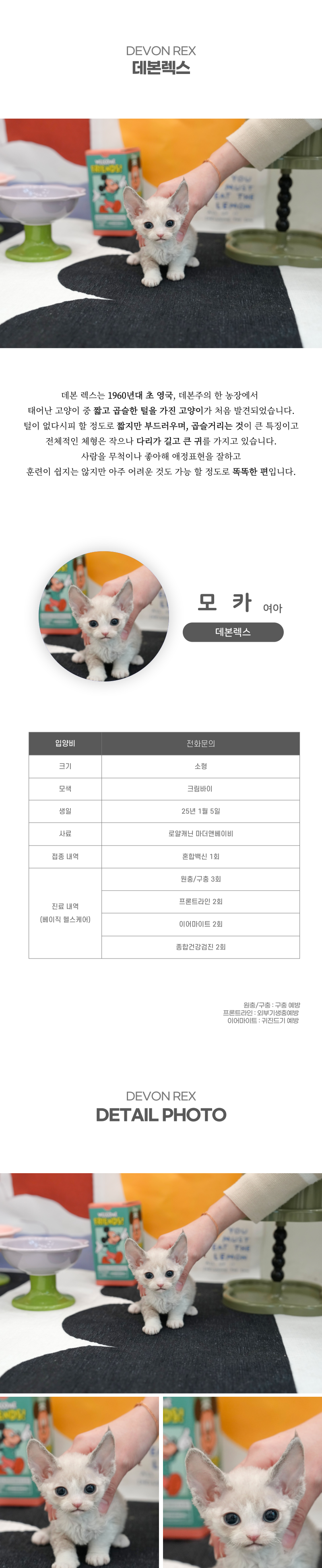 모카_상세이미지_2