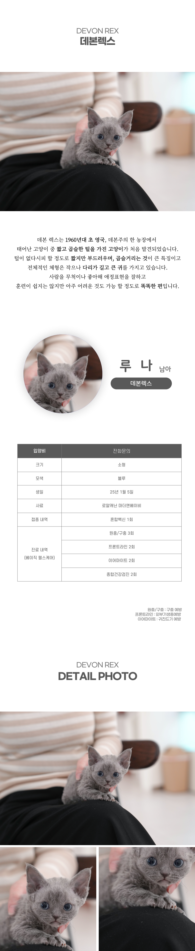 루나_상세이미지_2