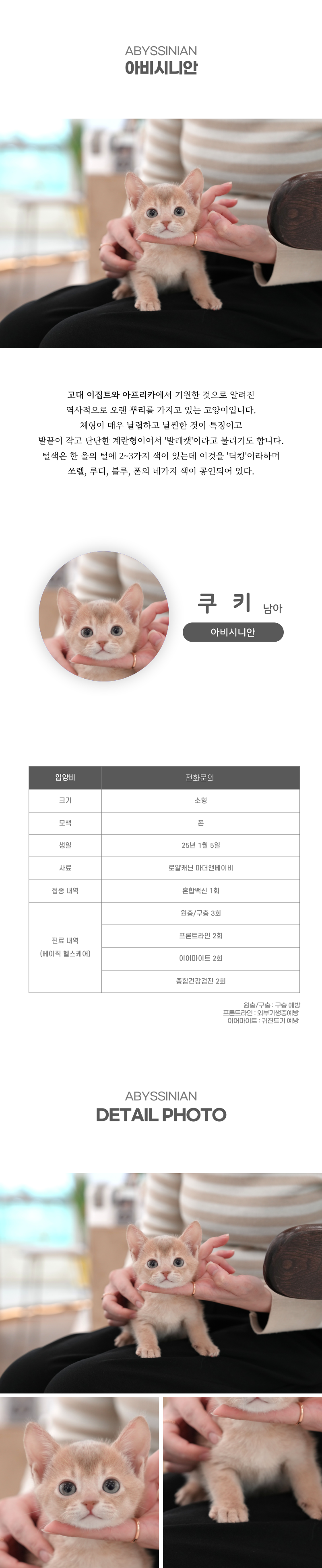 쿠키_상세이미지_2