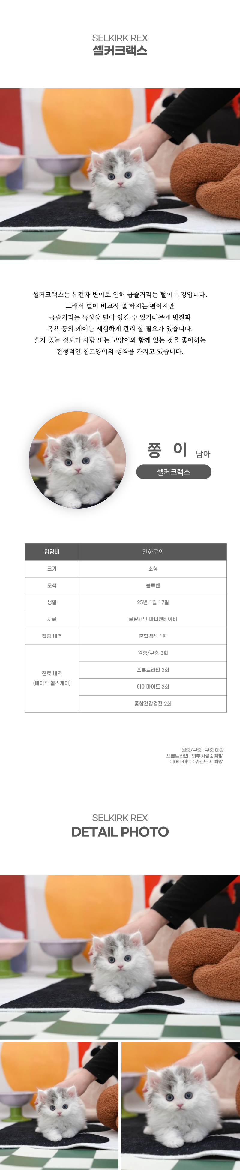 쫑이_상세이미지_2