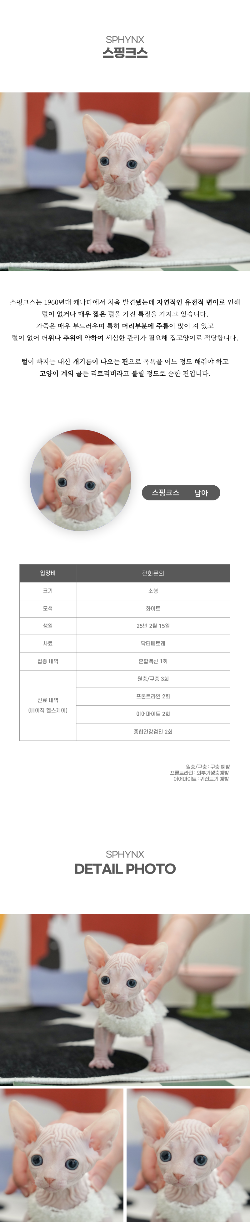 스핑크스_상세이미지_2