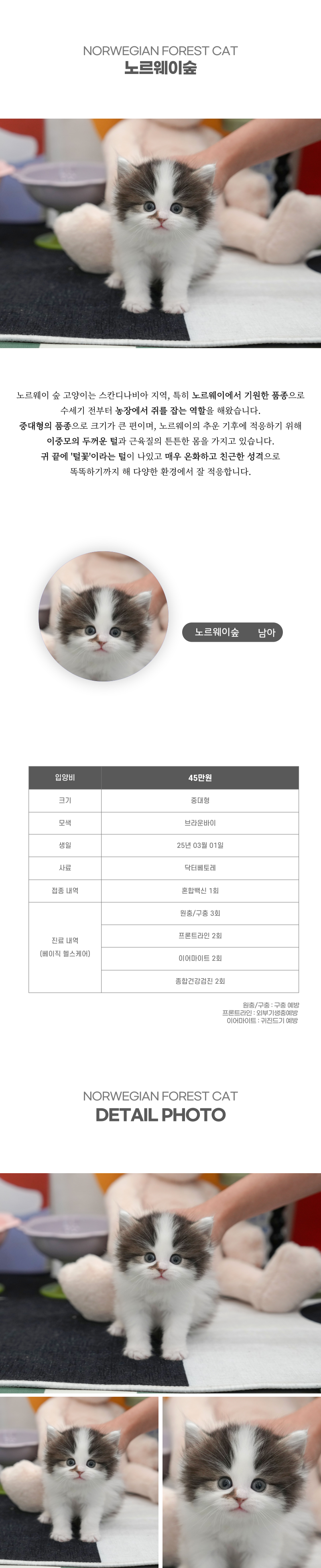 노르웨이숲_상세이미지_2