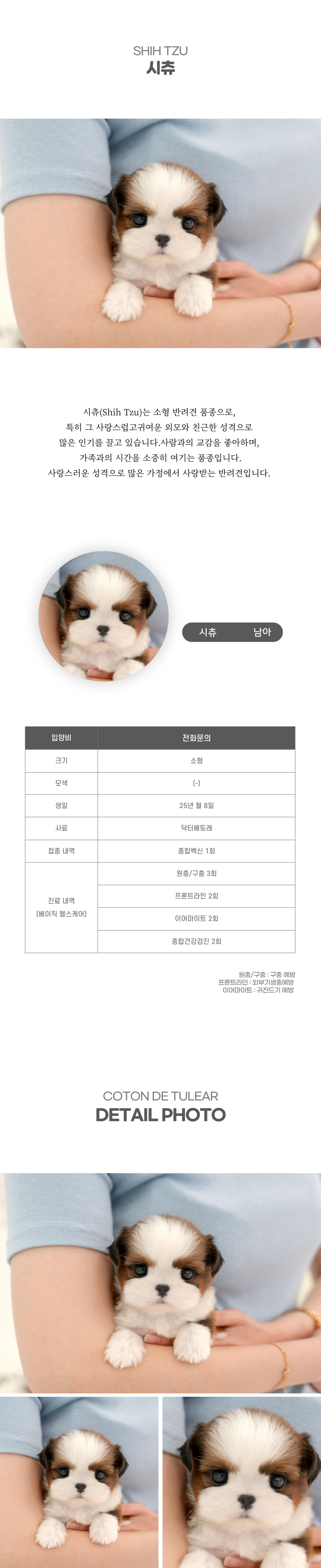 시츄_상세이미지_2