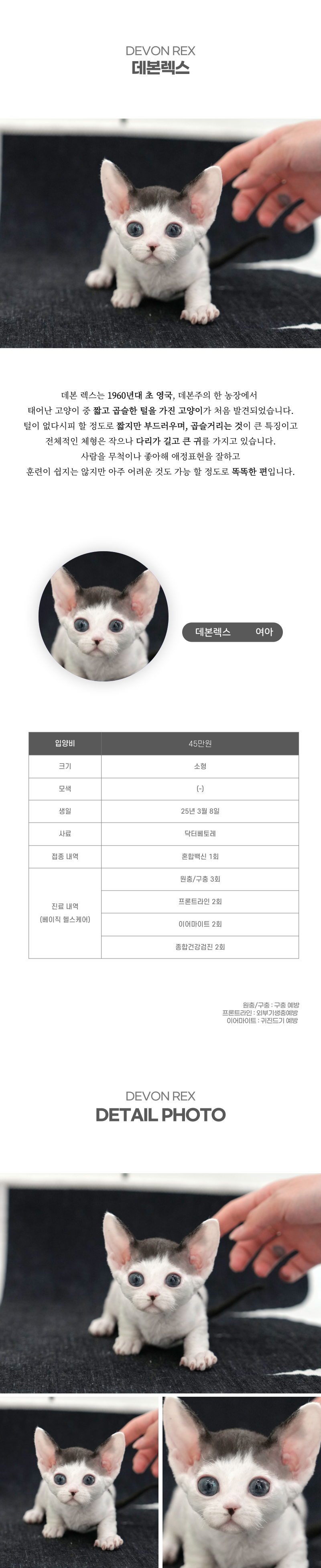 데본렉스_상세이미지_2