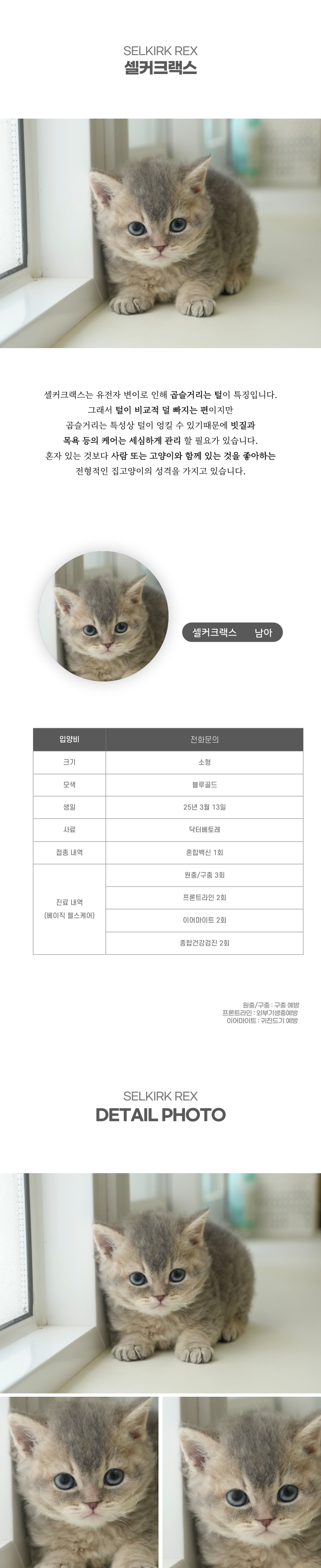 셀커크랙스_상세이미지_2
