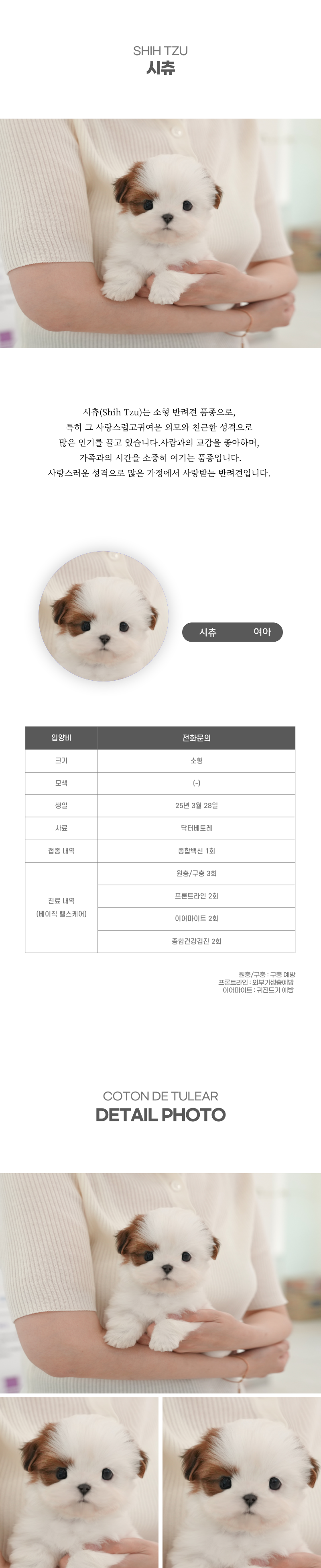 시츄_상세이미지_2