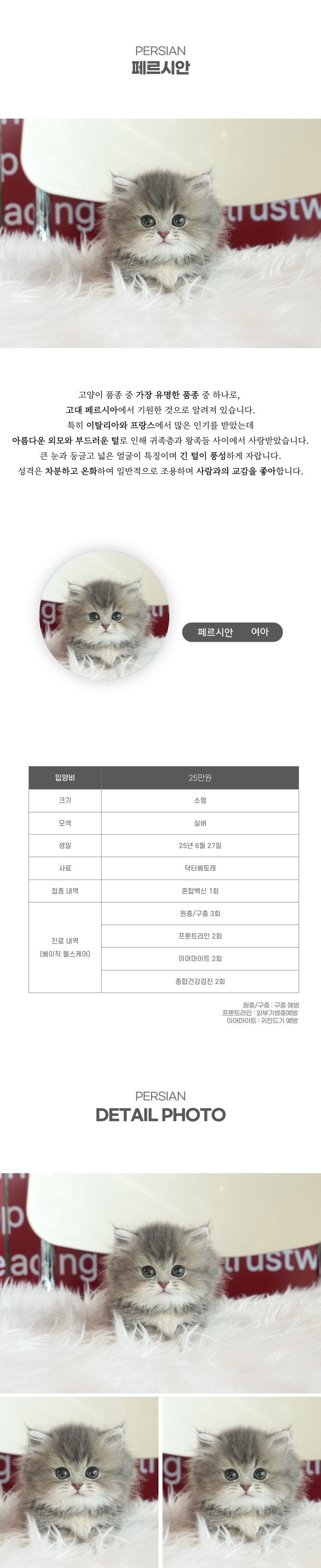 페르시안_상세이미지_2
