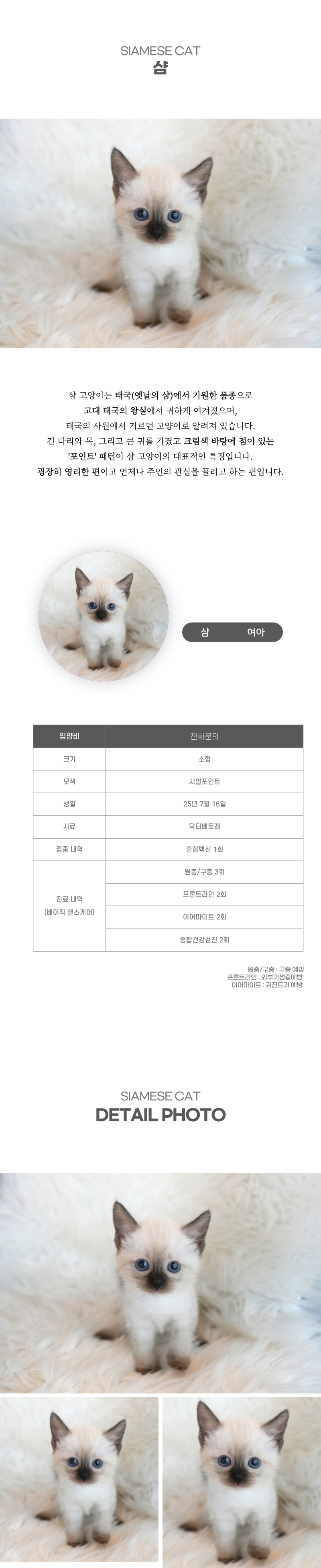 샴_상세이미지_2