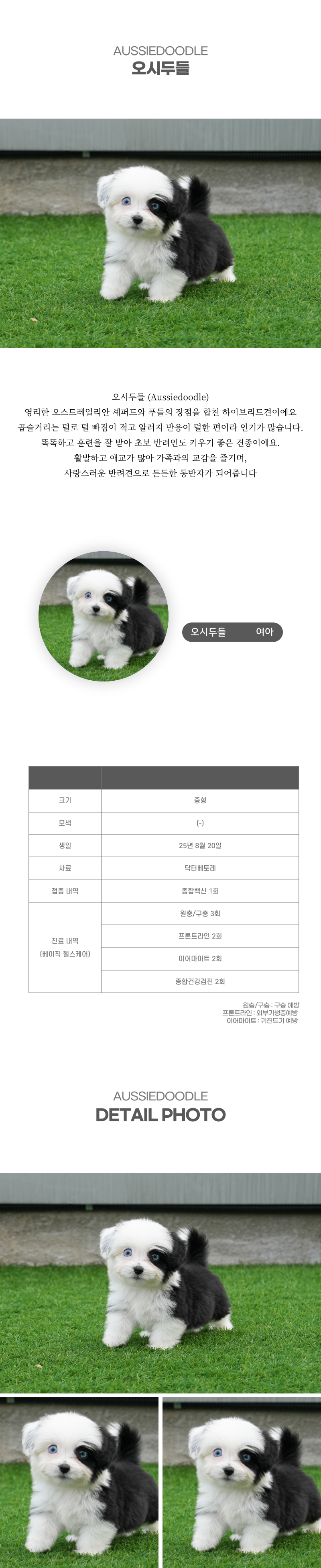 오시두들_상세이미지_2