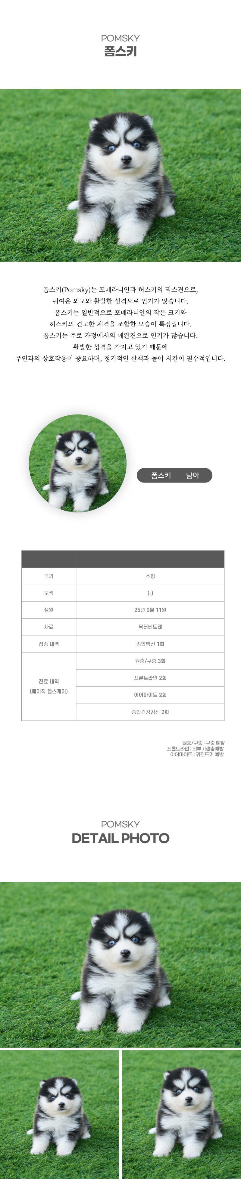 폼스키_상세이미지_2