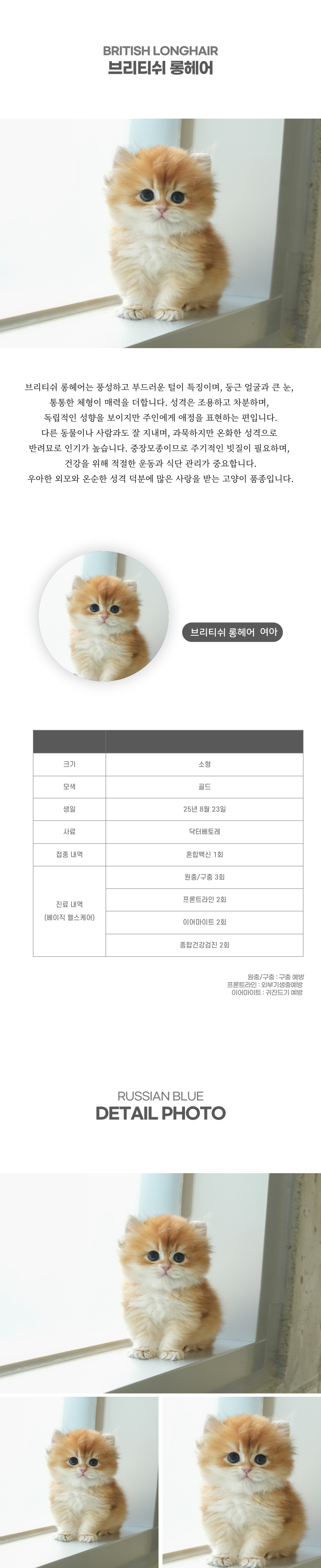 브리티쉬롱헤어_상세이미지_2