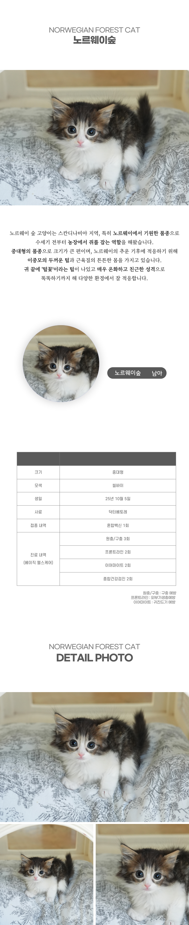 노르웨이숲_상세이미지_2