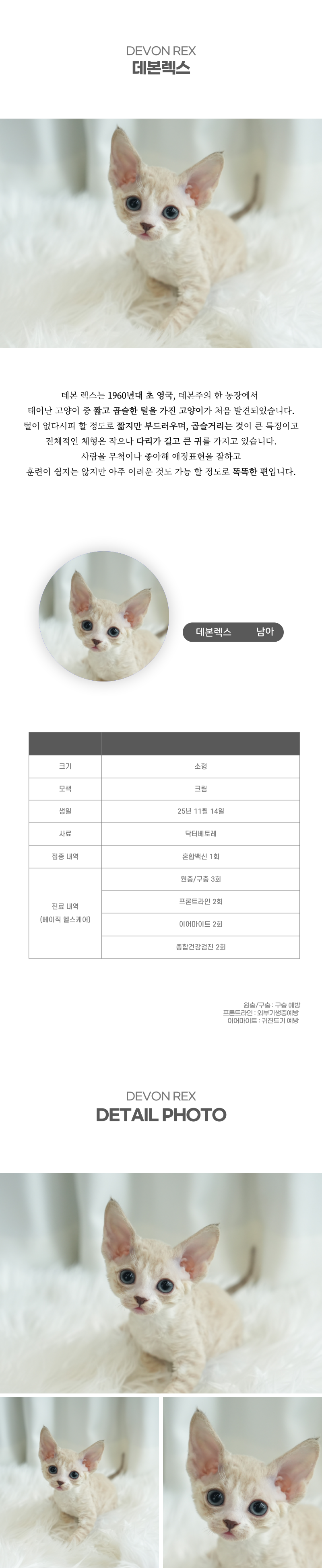 데본렉스_상세이미지_2