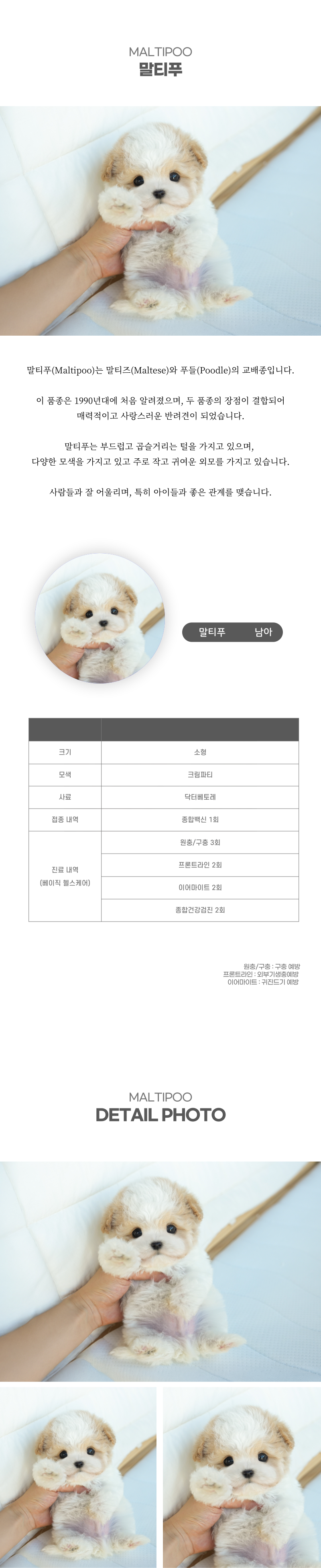 말티푸_상세이미지_2