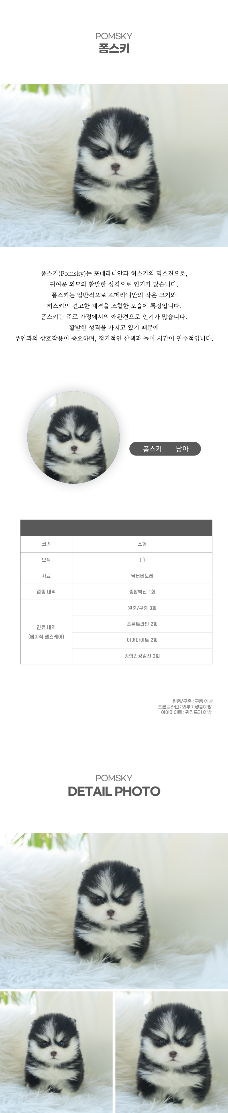 폼스키_상세이미지_2