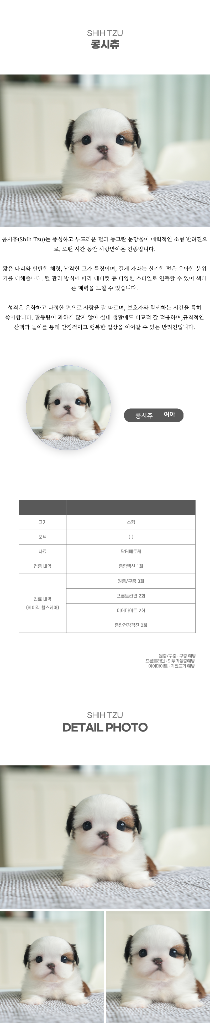 콩시츄_상세이미지_2