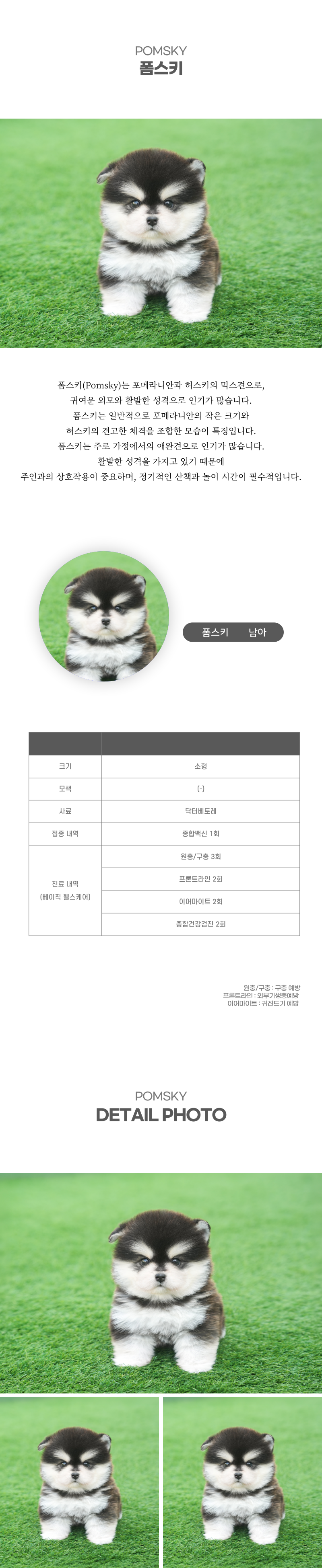 폼스키_상세이미지_2