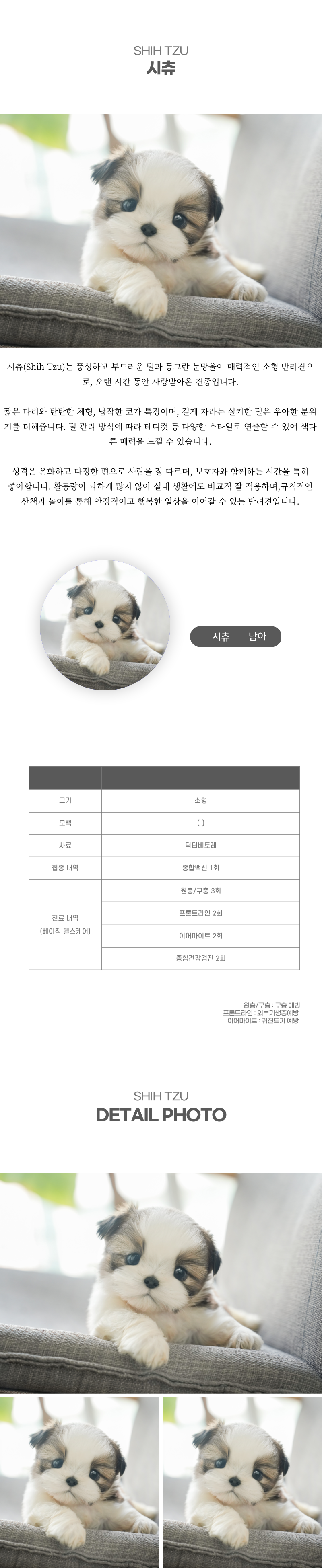 시츄_상세이미지_2