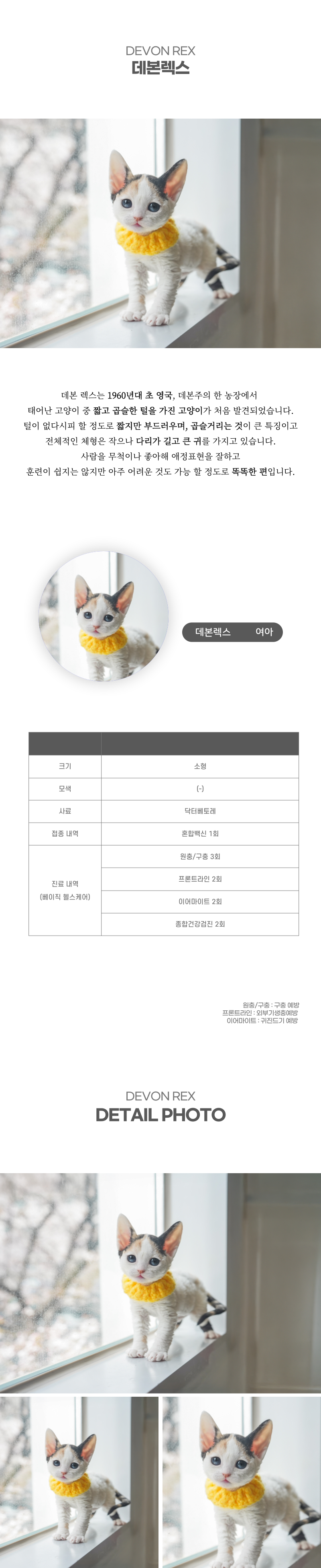 데본렉스_상세이미지_2