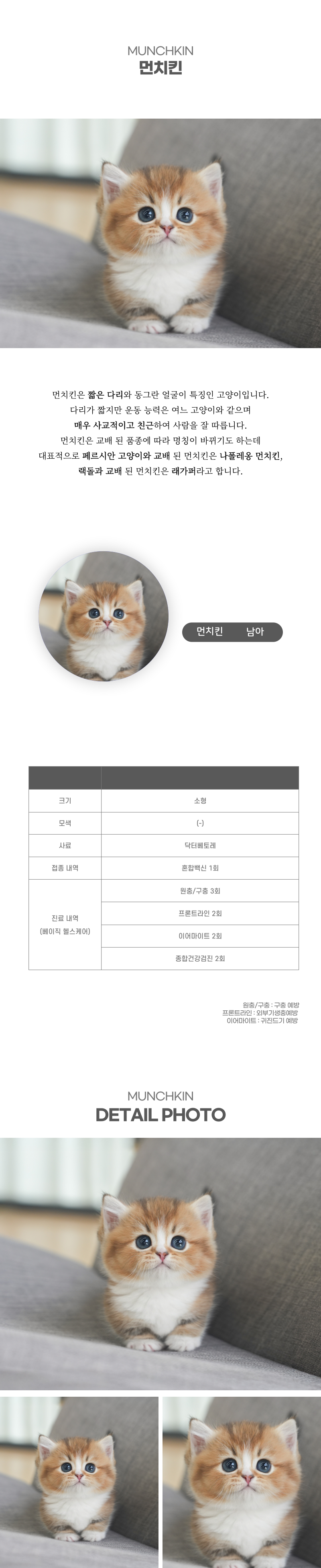 먼치킨_상세이미지_2