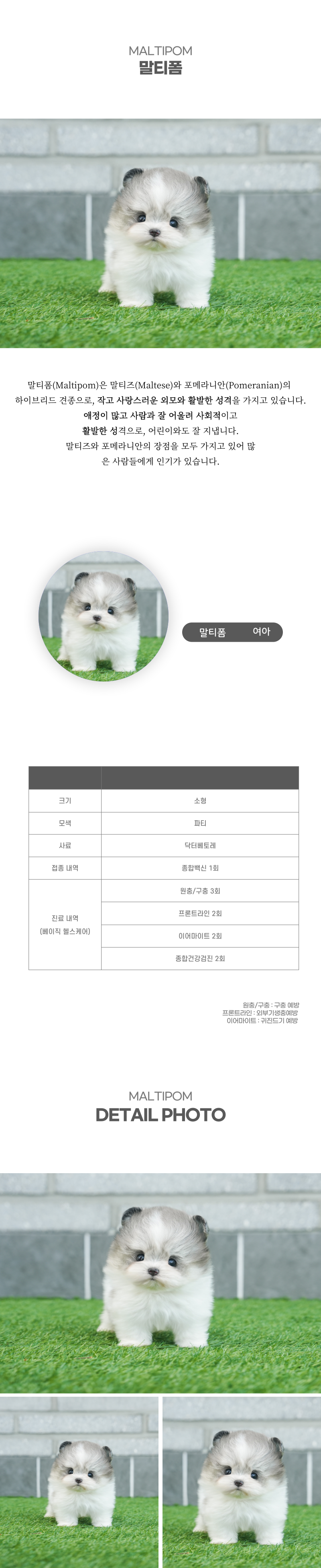 말티폼_상세이미지_2