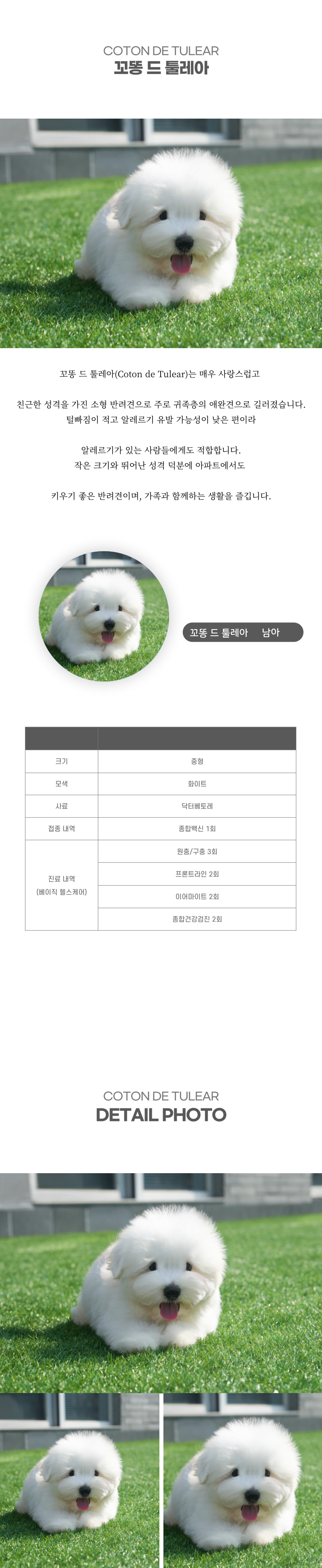 꼬똥_상세이미지_2