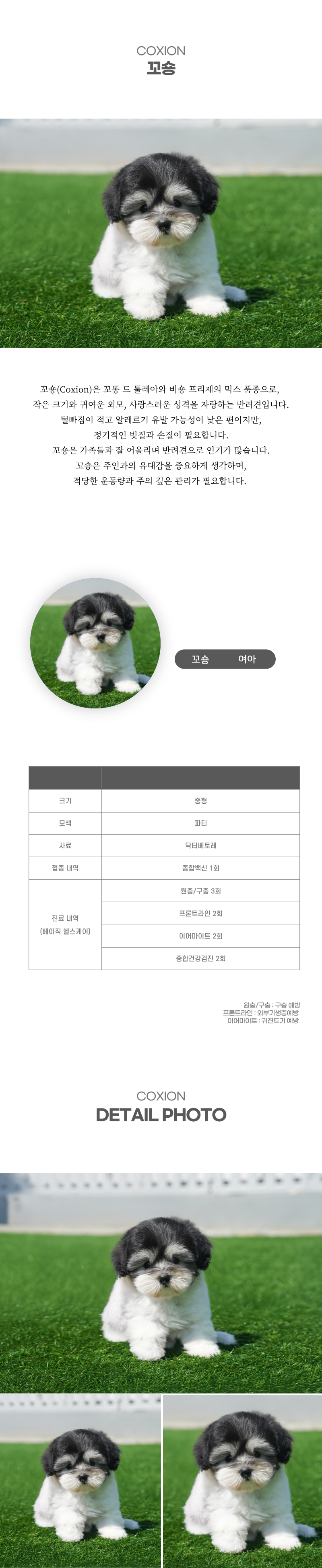 꼬숑_상세이미지_2