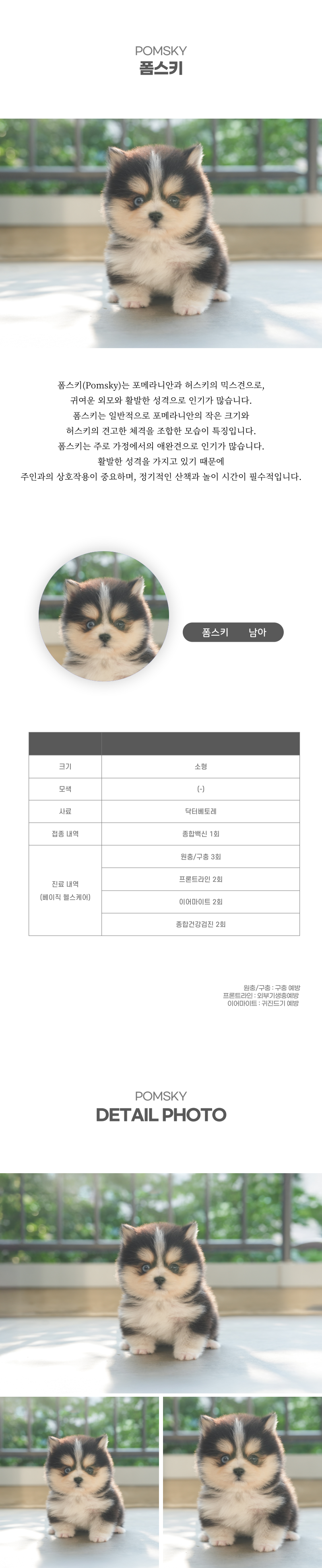 폼스키_상세이미지_2