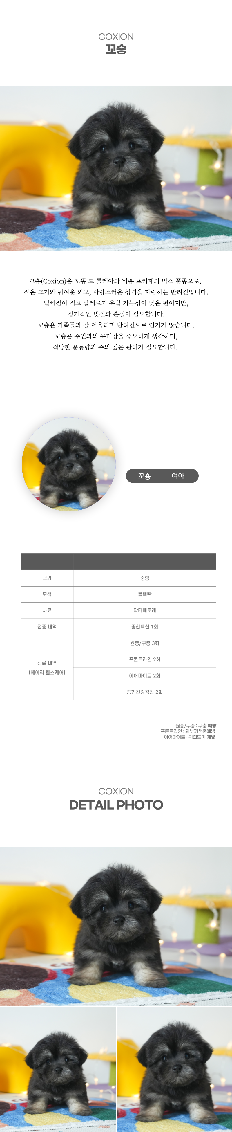 꼬숑_상세이미지_2