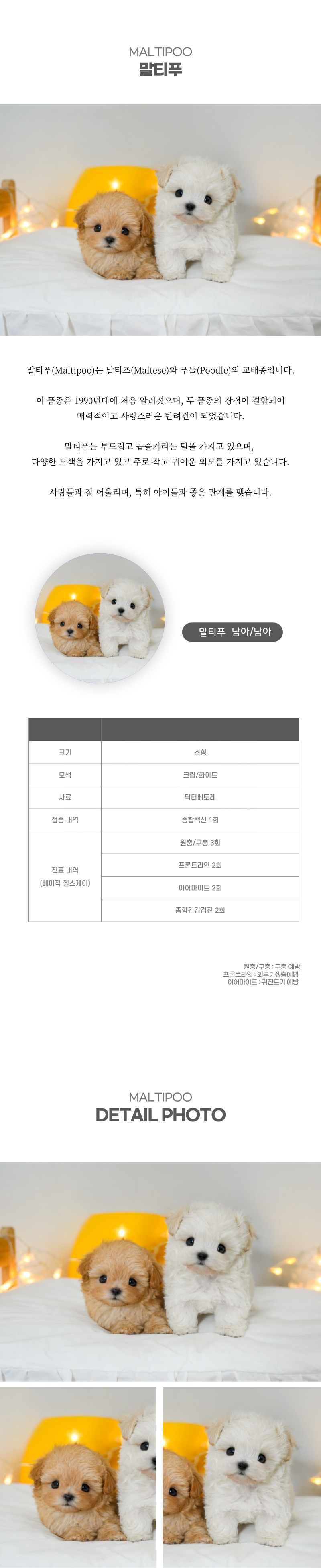 말티푸_상세이미지_2