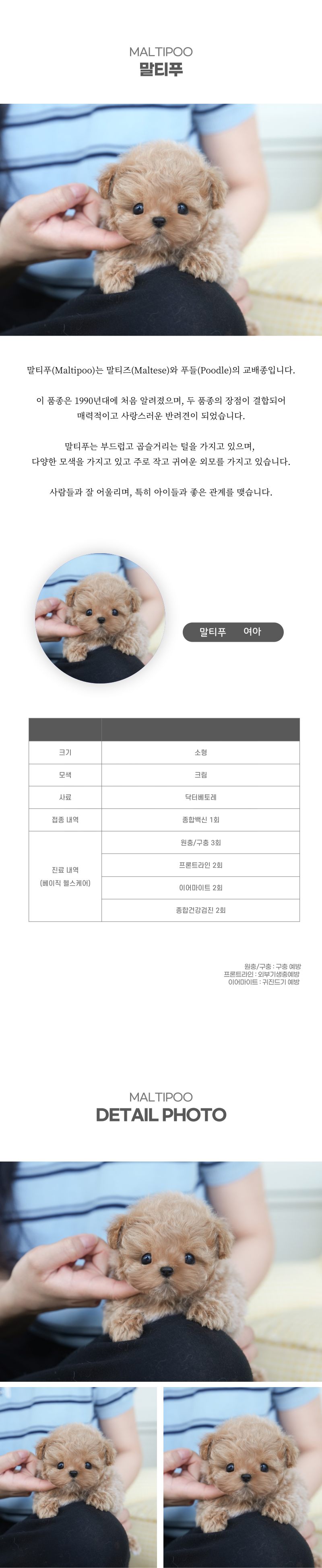 말티푸_상세이미지_2