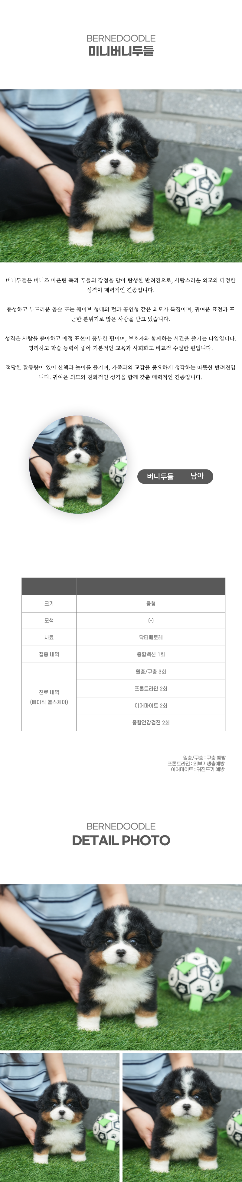 미니버니두들_상세이미지_2