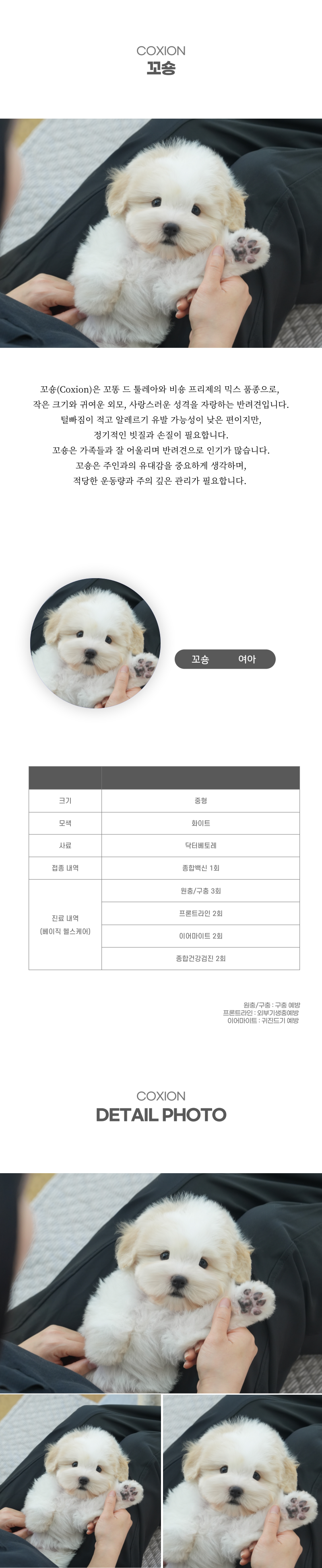 꼬숑_상세이미지_2