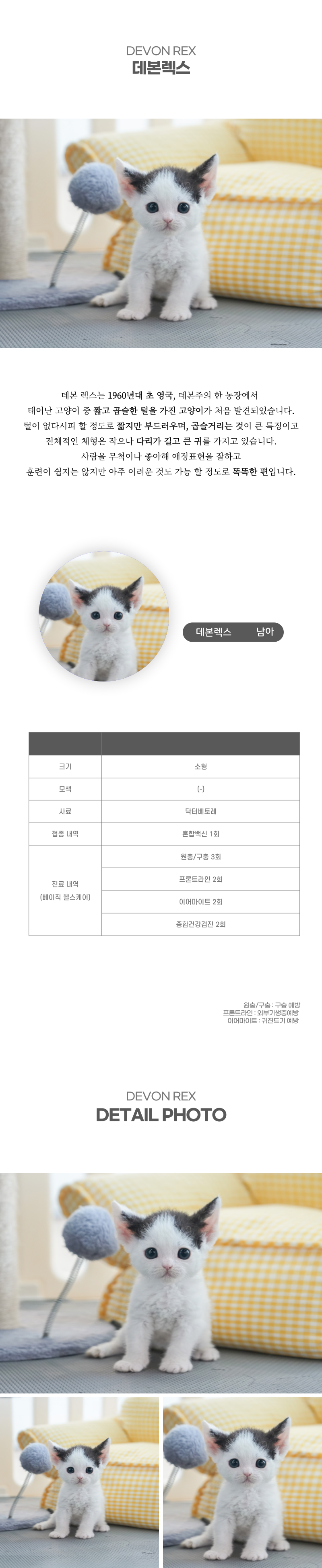 데본렉스_상세이미지_2