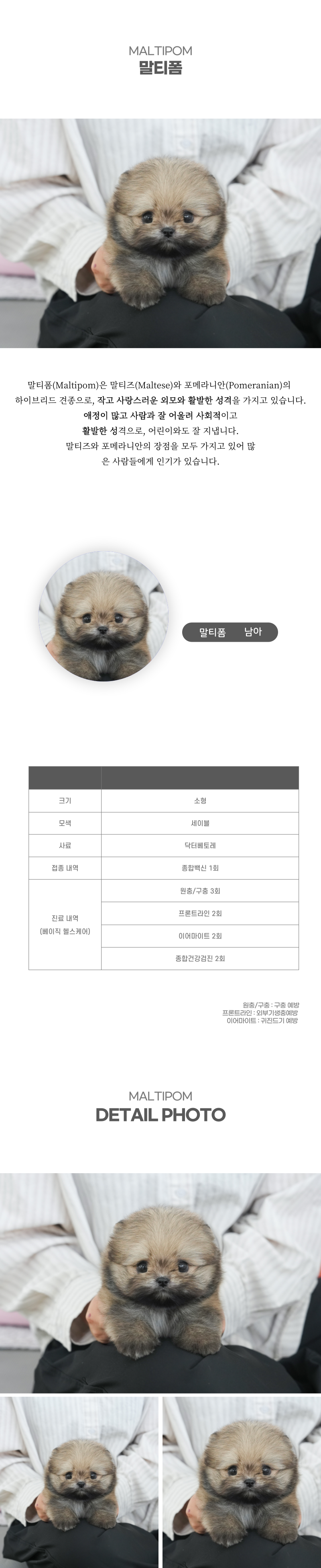 말티폼_상세이미지_2
